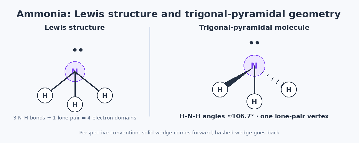 Ammonia Lewis structure lone pair and trigonal pyramidal molecular geometry