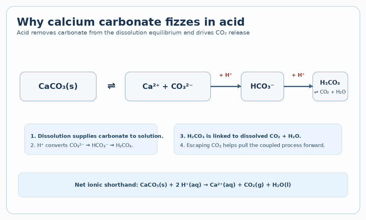 Calcium carbonate protonation pathway to carbon dioxide and water