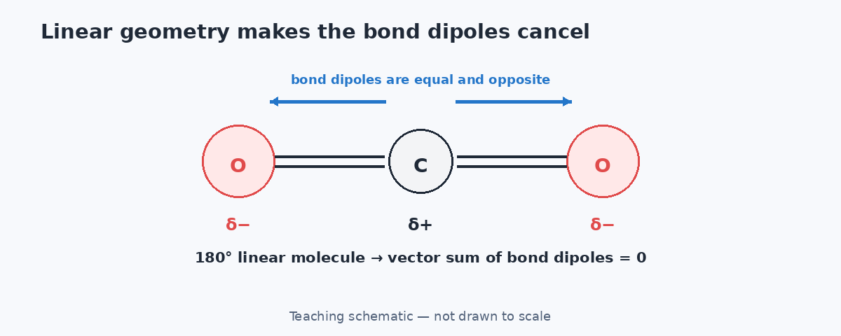 Linear carbon dioxide molecule with equal opposite bond dipoles
