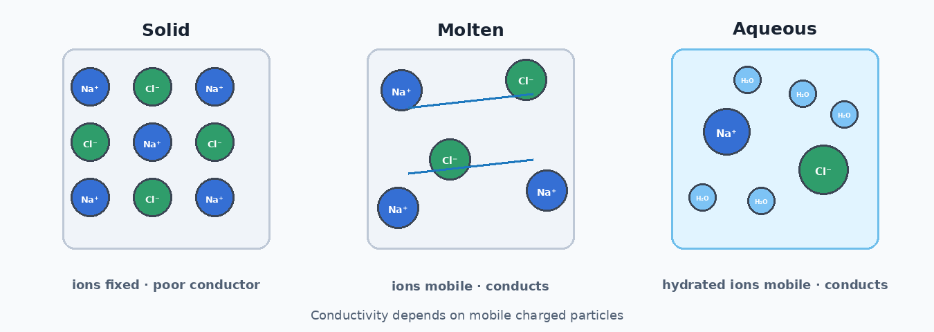 Sodium chloride conductivity in solid, molten and aqueous states