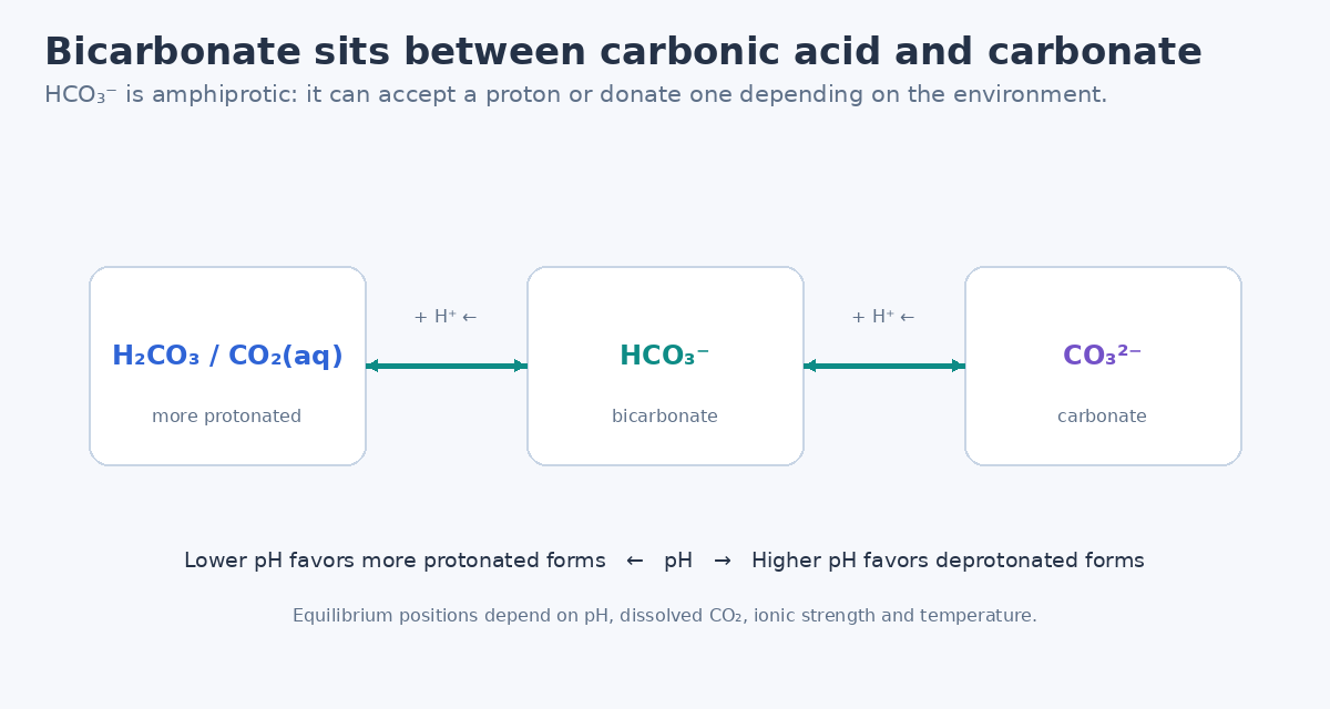 Carbonic acid bicarbonate carbonate acid base equilibrium and buffering concept