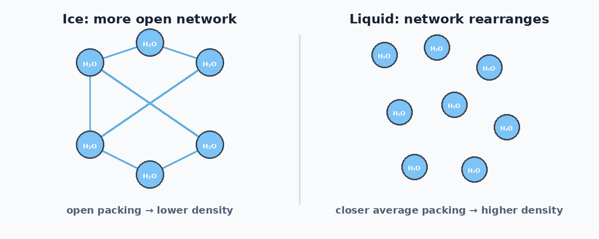 Conceptual comparison of open ice structure and more closely packed liquid water