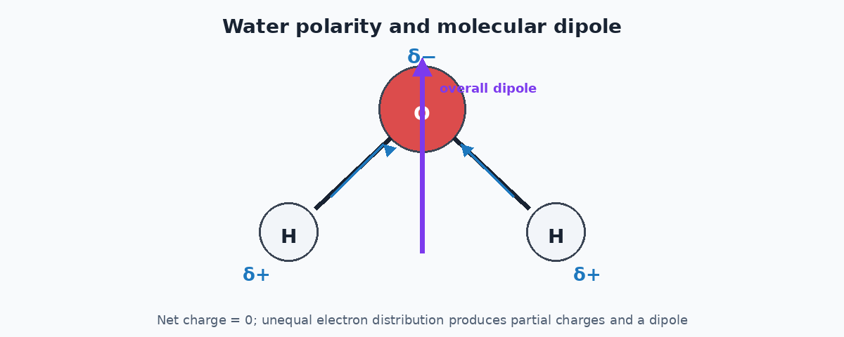 Water partial charges and overall molecular dipole